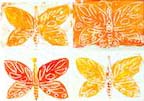 Science Plus Mixed Media: “Symmetry in Butterflies”