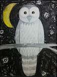 Fine Art Drawing: Picasso, Van Gogh, Durer, Audubon: “Hooty Owl”