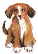 Math Plus Drawing: “Puppy Graphs”
