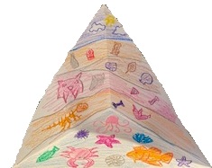 Science Plus Drawing: “Rock, Fossils, and Tidepools”