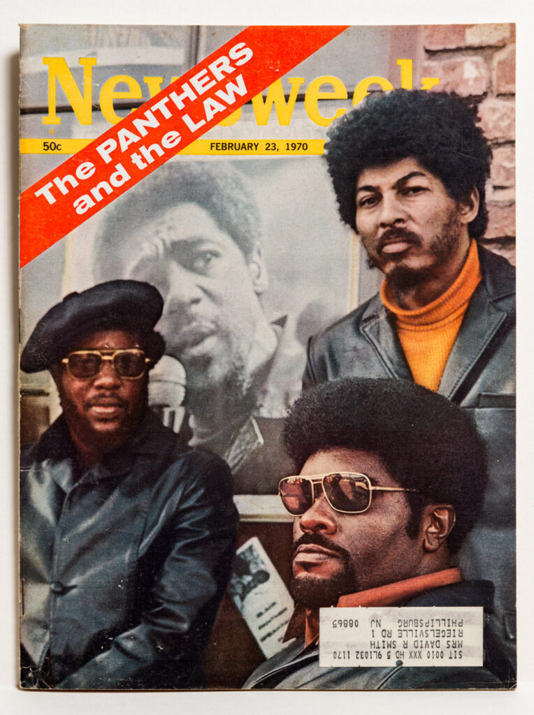 Power to the People: The Revolutionary Art & Vision of the Black Panther Party